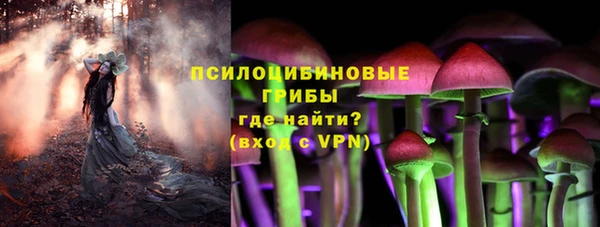 jwh Саяногорск