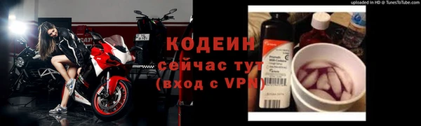 крисы Абаза